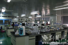 全國(guó)網(wǎng)媒采訪團(tuán)光谷生物城感受生命科技奧妙