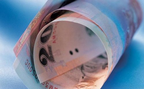 歐元與油價同步上漲 加劇歐洲央行鷹鴿陣營分化，自有資金對外投資前景幾何？