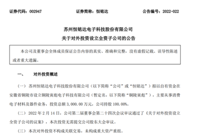 自有資金對外投資的策略與風險管理