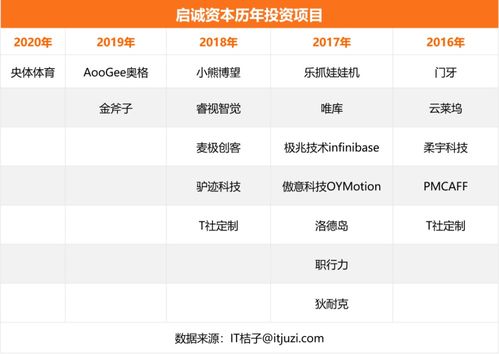 自有資金對外投資 策略、優勢與風險管控